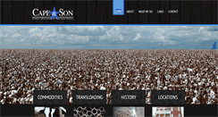Desktop Screenshot of capeandson.com